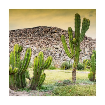 Philippe Hugonnard 'Viva Mexico 3 Mexican Cactus At Sunset' Canvas Art,35x35